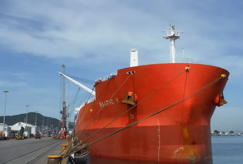 BALTIC K Bulk Carrier IMO 9514121 photo 4