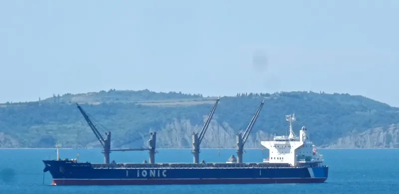 IONIC SPIRIT Bulk Carrier IMO 9514200 photo 7