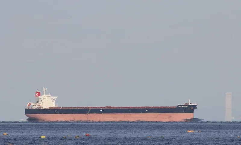 CAPE HARMONY Bulk Carrier IMO 9514212 photo 7