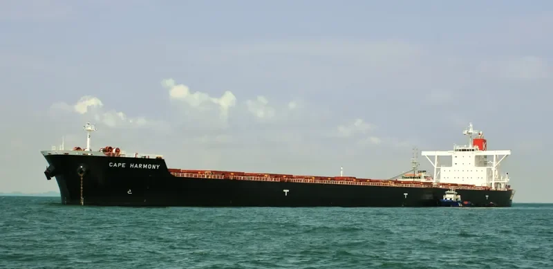 CAPE HARMONY Bulk Carrier IMO 9514212 photo 10