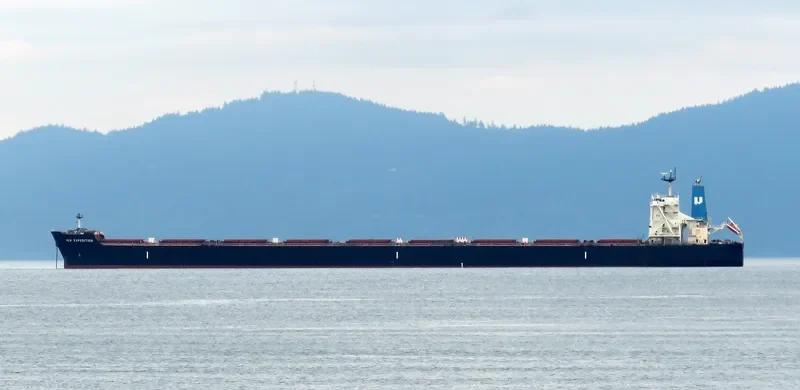 FLAGSHIP Bulk Carrier IMO 9514224 photo 5