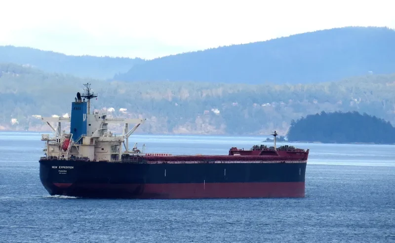 FLAGSHIP Bulk Carrier IMO 9514224 photo 7
