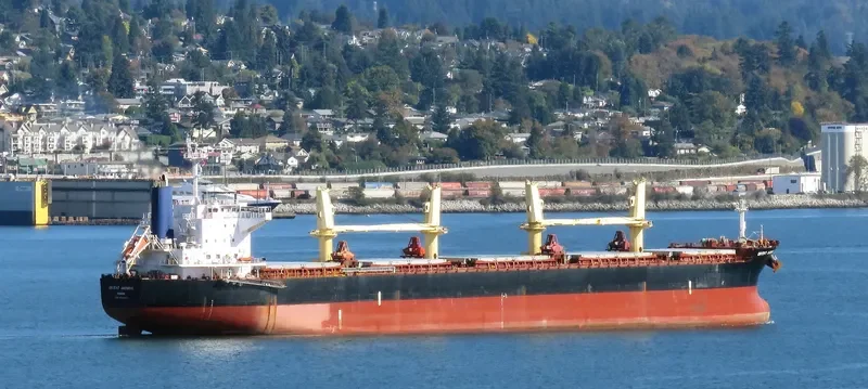 JASMINE Bulk Carrier IMO 9514327 photo 6