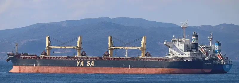 YASA KAPTAN ERBIL Bulk Carrier IMO 9514341