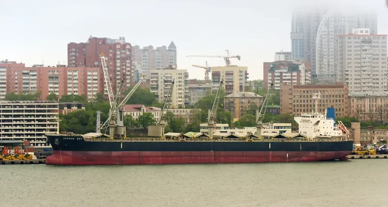 SERENE SKY Bulk Carrier IMO 9514353 photo 3