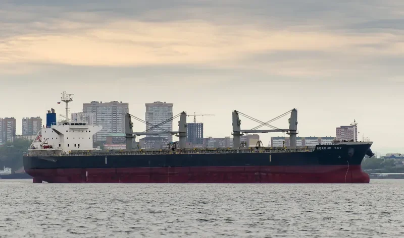 SERENE SKY Bulk Carrier IMO 9514353 photo 5