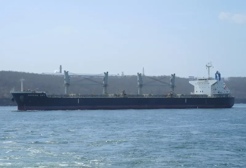 SERENE SKY Bulk Carrier IMO 9514353 photo 7