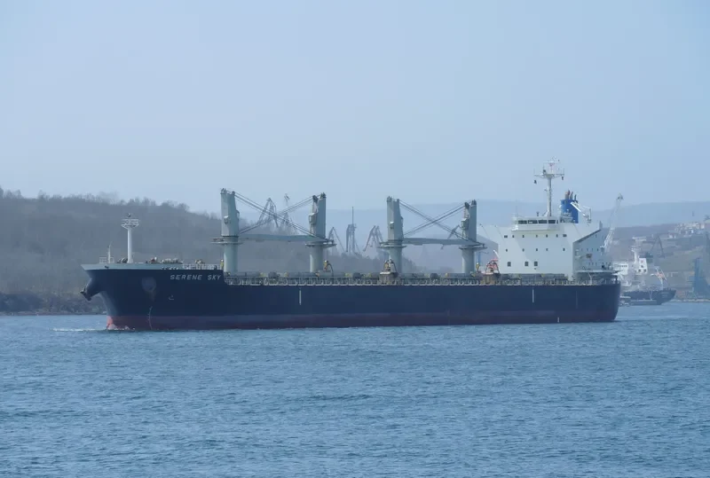 SERENE SKY Bulk Carrier IMO 9514353 photo 8