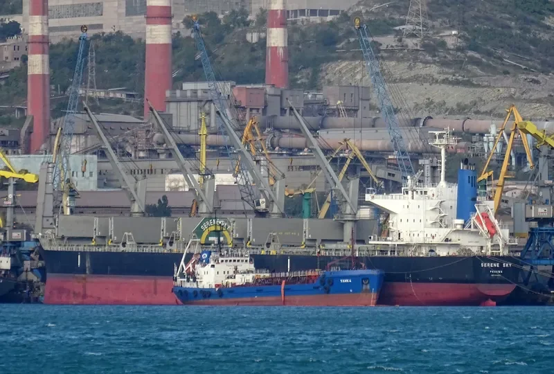SERENE SKY Bulk Carrier IMO 9514353 photo 9