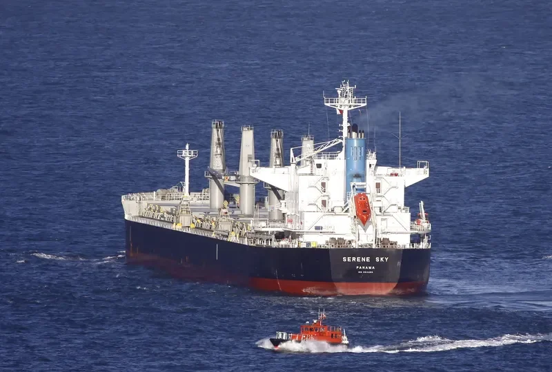 SERENE SKY Bulk Carrier IMO 9514353 photo 10