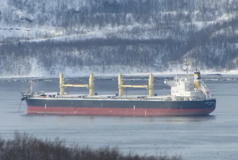 ELEFTHEROTRIA Bulk Carrier IMO 9514365 photo 8