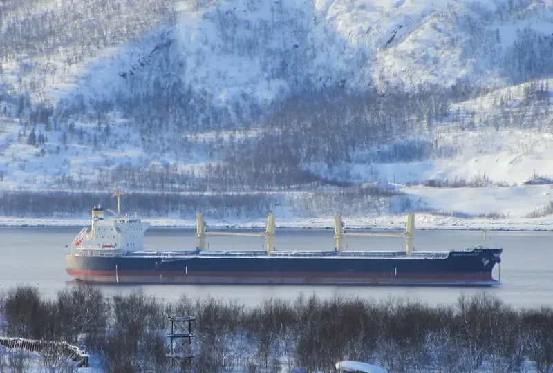 ELEFTHEROTRIA Bulk Carrier IMO 9514365 photo 9
