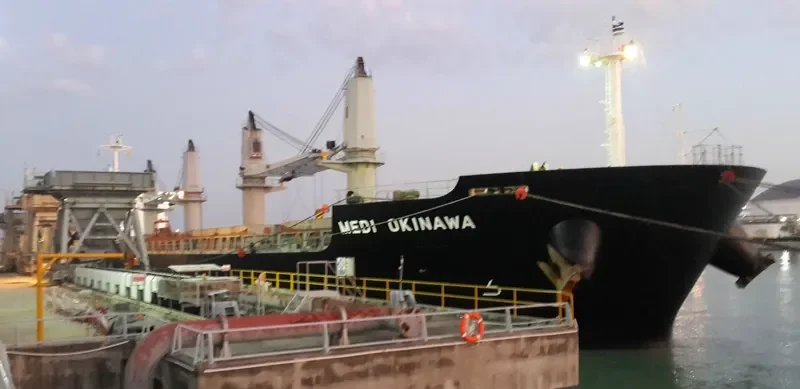 MEDI OKINAWA Bulk Carrier IMO 9514389 photo 5