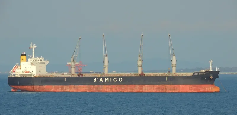 MEDI OKINAWA Bulk Carrier IMO 9514389 photo 6