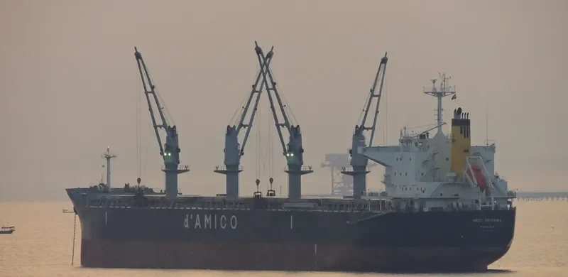 MEDI OKINAWA Bulk Carrier IMO 9514389 photo 8