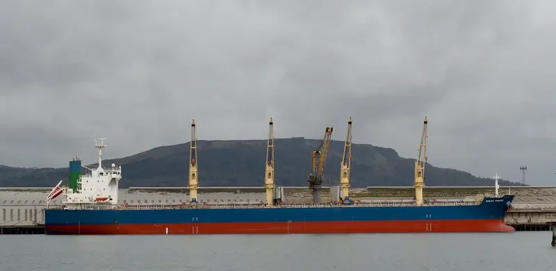 PROSPER PHOENIX Bulk Carrier IMO 9514391 photo 2