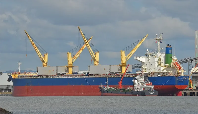 PROSPER PHOENIX Bulk Carrier IMO 9514391 photo 8
