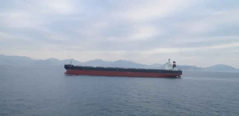 GOLDEN HORIZON Bulk Carrier IMO 9514509 photo 3