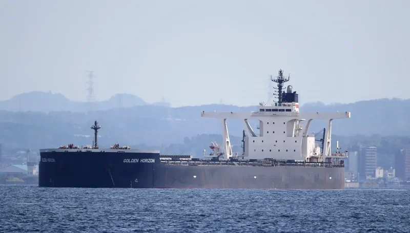GOLDEN HORIZON Bulk Carrier IMO 9514509 photo 5