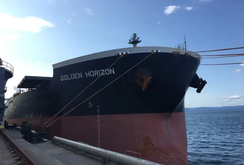 GOLDEN HORIZON Bulk Carrier IMO 9514509 photo 7