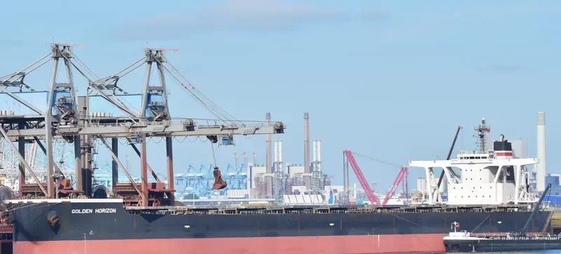 GOLDEN HORIZON Bulk Carrier IMO 9514509 photo 9