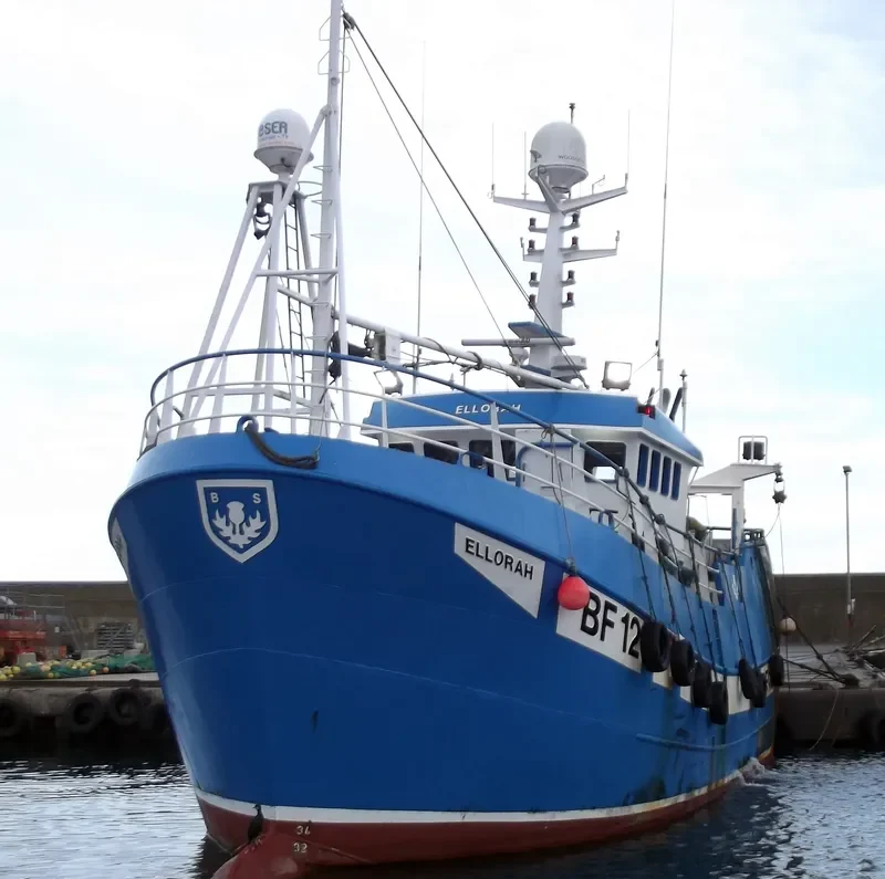 ELLORAH General Cargo IMO 9514614 photo 3