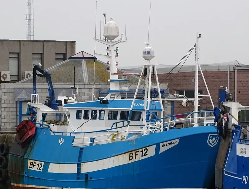 ELLORAH General Cargo IMO 9514614 photo 9