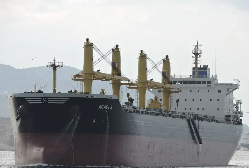 AGAPI S Bulk Carrier IMO 9514822 photo 2