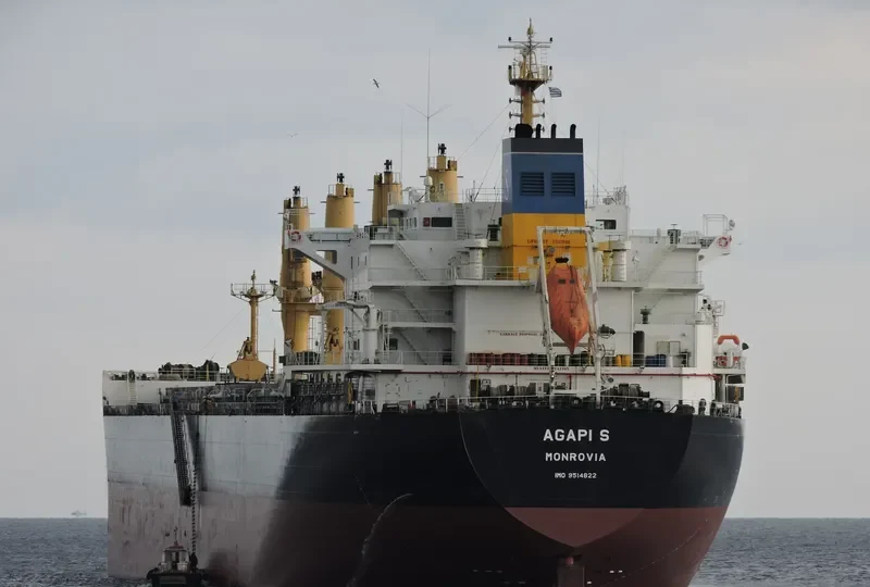 AGAPI S Bulk Carrier IMO 9514822 photo 5