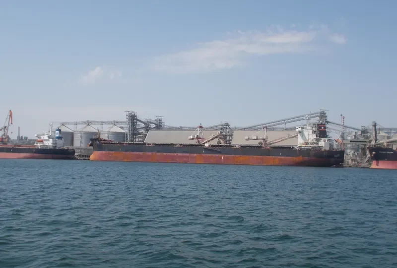 VISHVA ANAND Bulk Carrier IMO 9515046 photo 3
