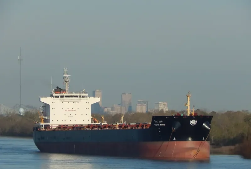 VISHVA ANAND Bulk Carrier IMO 9515046 photo 5