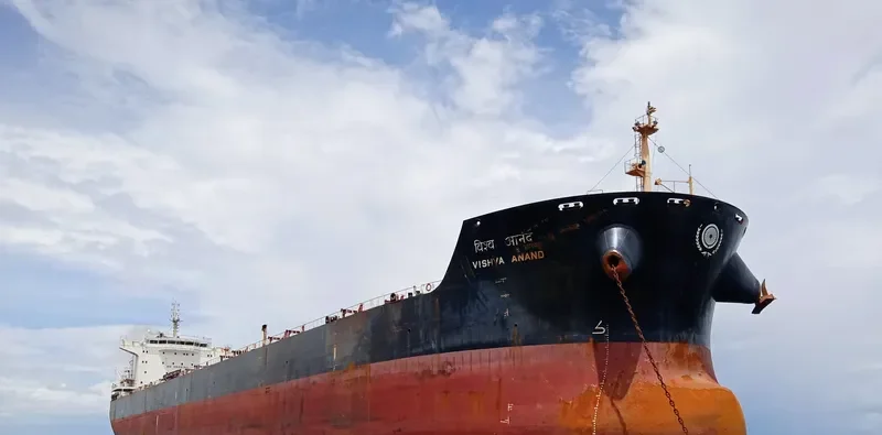 VISHVA ANAND Bulk Carrier IMO 9515046 photo 8