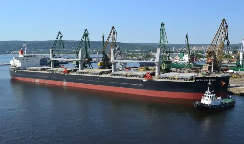 VIRGO COLOSSUS Bulk Carrier IMO 9515096 photo 4