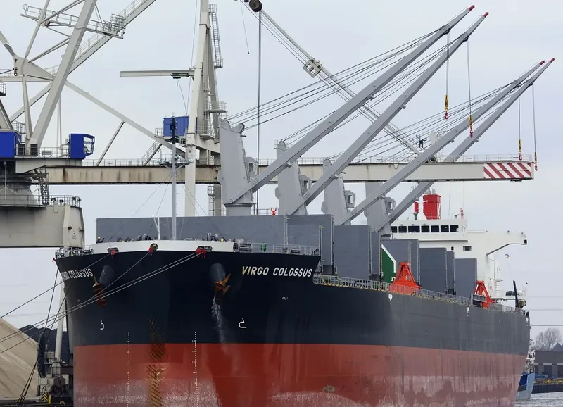 VIRGO COLOSSUS Bulk Carrier IMO 9515096 photo 10
