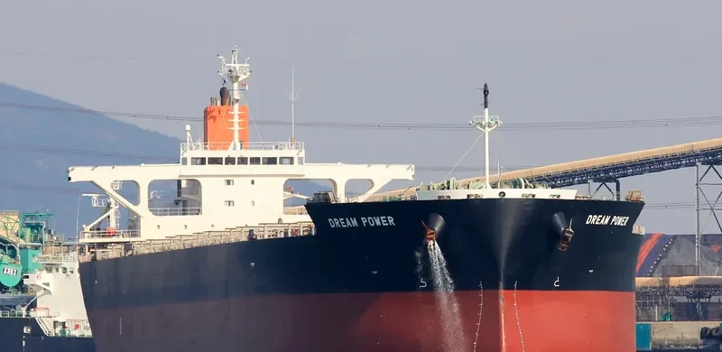 DREAM POWER Bulk Carrier IMO 9515175 photo 2