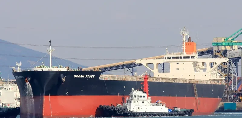DREAM POWER Bulk Carrier IMO 9515175 photo 4