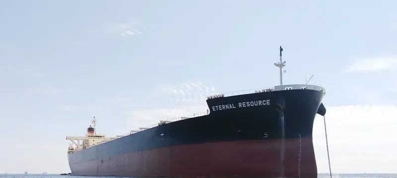 ETERNAL RESOURCE Bulk Carrier IMO 9515187 photo 2