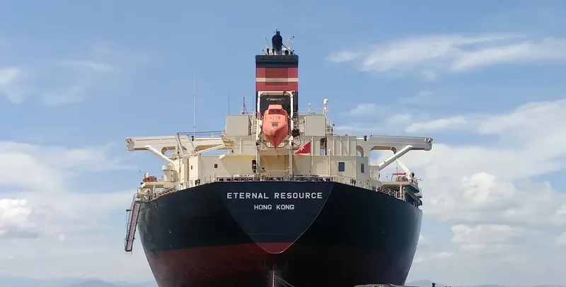 ETERNAL RESOURCE Bulk Carrier IMO 9515187 photo 4