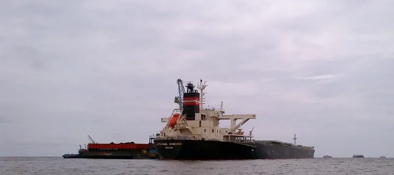 ETERNAL RESOURCE Bulk Carrier IMO 9515187 photo 7