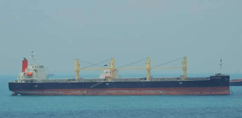 C.S.PRINCESS Bulk Carrier IMO 9515199 photo 2