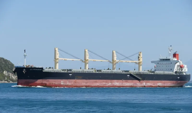 C.S.PRINCESS Bulk Carrier IMO 9515199 photo 10