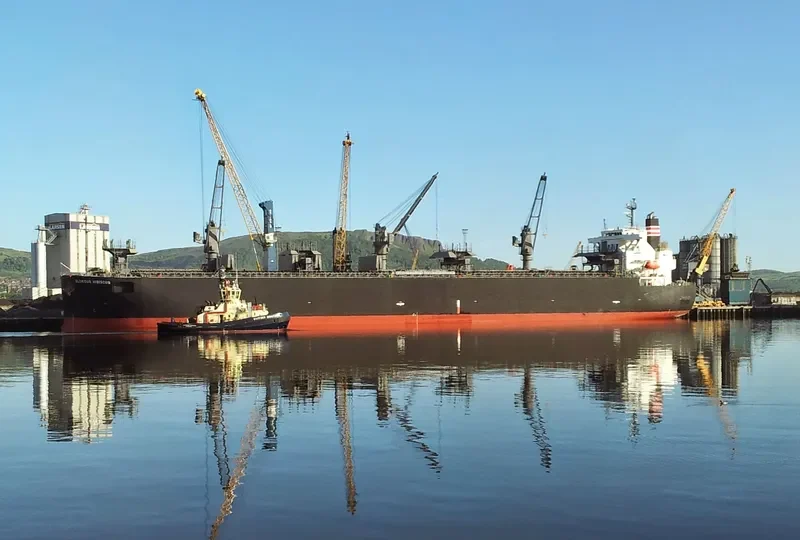 GLORIOUS HIBISCUS Bulk Carrier IMO 9515216