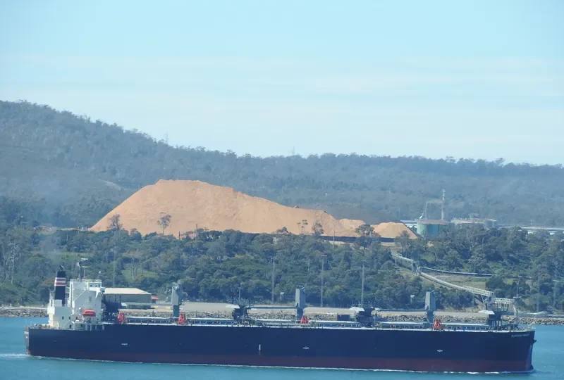 GLORIOUS HIBISCUS Bulk Carrier IMO 9515216 photo 5