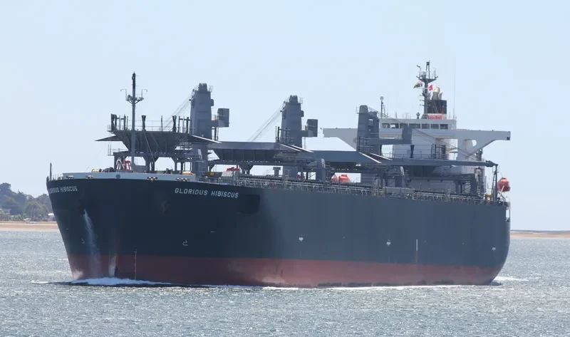 GLORIOUS HIBISCUS Bulk Carrier IMO 9515216 photo 6