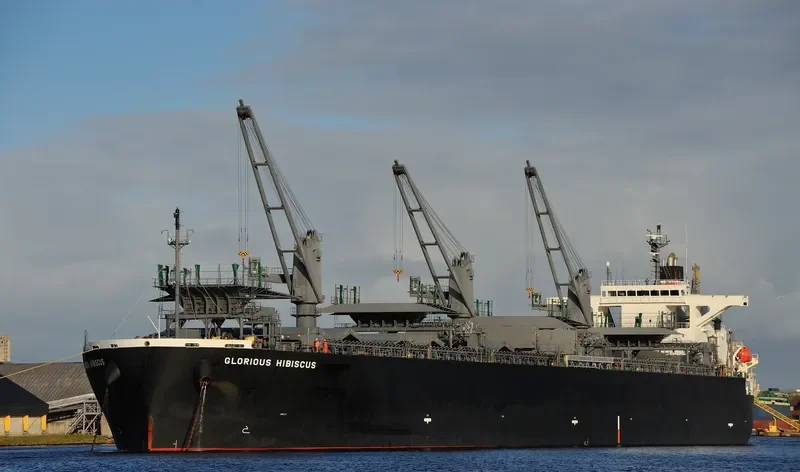 GLORIOUS HIBISCUS Bulk Carrier IMO 9515216 photo 8