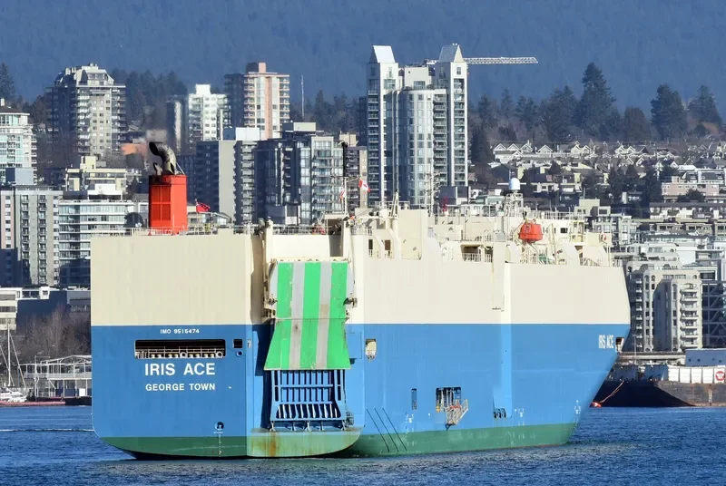 IRIS ACE General Cargo IMO 9515474 photo 3