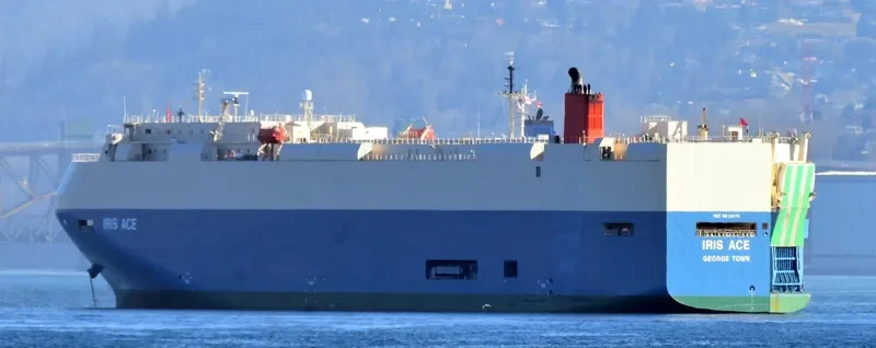 IRIS ACE General Cargo IMO 9515474 photo 4