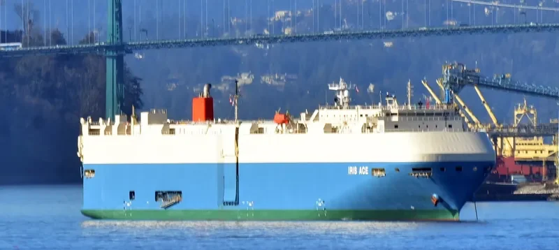 IRIS ACE General Cargo IMO 9515474 photo 6