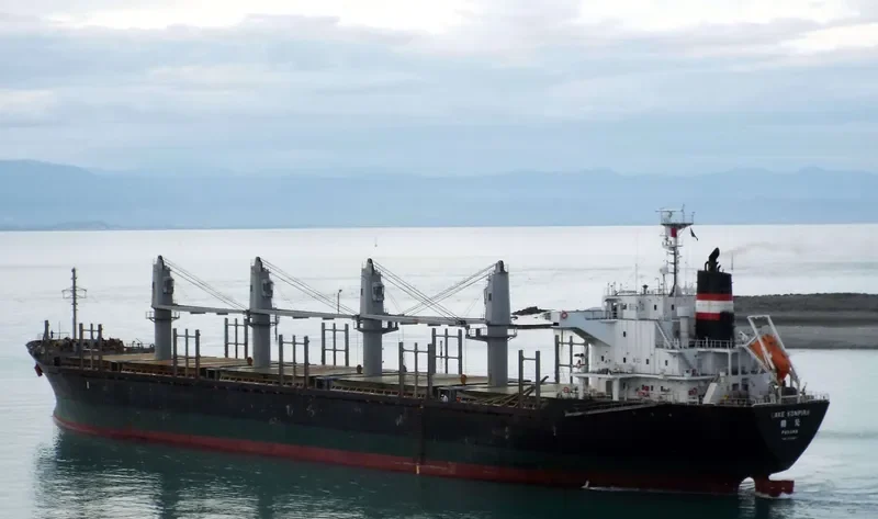 CONTINENTAL TAIGA Bulk Carrier IMO 9515527 photo 10