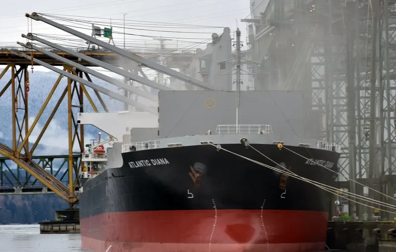 ATLANTIC DIANA Bulk Carrier IMO 9515539 photo 6